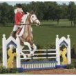 Breyer Traditional 2008: Jumper Jump, 1:9 Scale