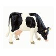 Bullyland 62442: Black & White Cow, Grazing