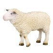Collecta 88008: Sheep