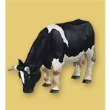 Papo 51015: Black & White Cow, Grazing