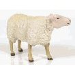 Papo 51022: Sheep