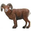 Safari Ltd 281829: Big Horn Ram