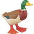 Safari Ltd Duck