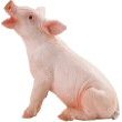 Safari Ltd 9911663: Piglet, Sitting