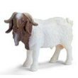 Schleich 13258: Boer He-Goat