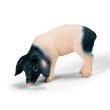 Schleich 194705: Swabian-Hall Piglet, Eating