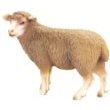 Schleich 13283: Standing Sheep