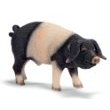 Schleich 194282: Swabain Hall Boar