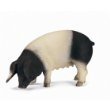 Schleich 13612: Swabian-Hall Pig, Eating