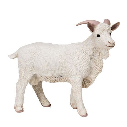 Safari Ltd Billy Goat